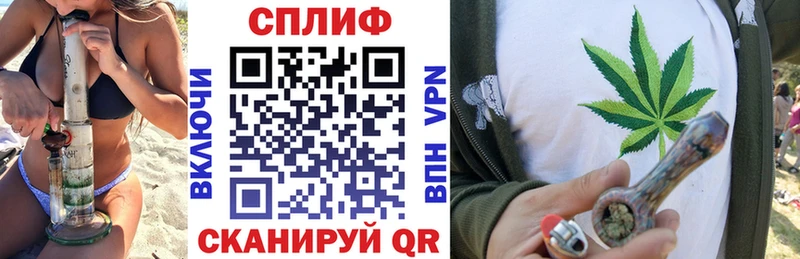 Конопля MAZAR  Саки 
